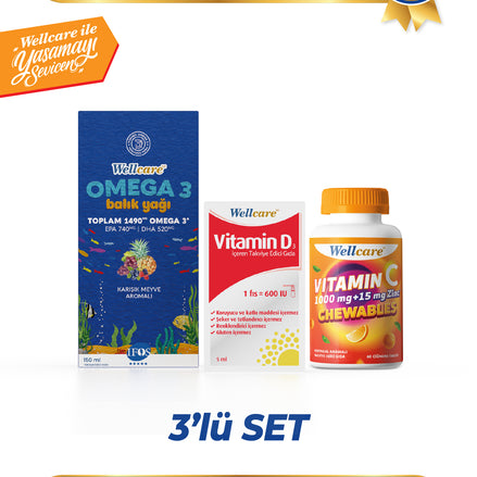 Wellcare 3'lü Set - Vitamin D3 600 IU - 30 ML & Omega 3 Karışık Meyve Aromalı Balık Yağı - 150 ML & Vitamin C 1000 mg + 15 mg Zinc Çiğneme Tableti 60 Tablet