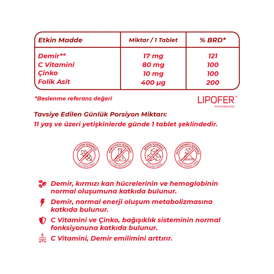 Wellcare Iron Kompleks Demir Vitamin C , Çinko ve Folik Asit İçeren Takviye Edici Gıda - 60 Tablet