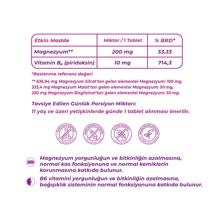 Wellcare Magnezyum + Vitamin B6 - 120 Tablet